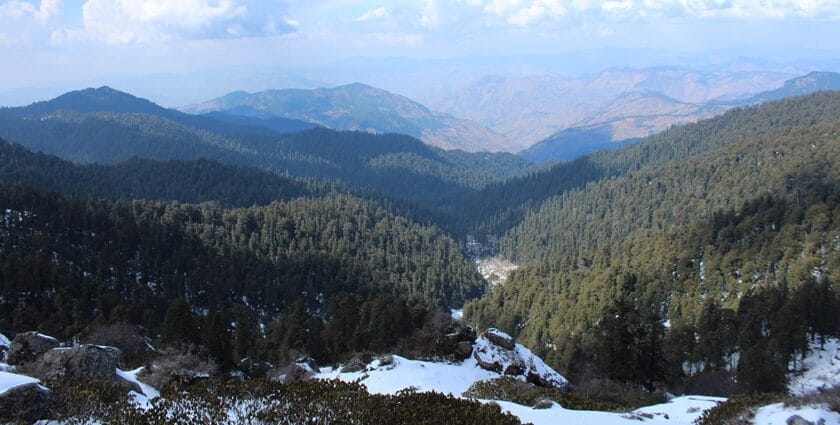 churdhar wildlife sanctuary cover photo 840x425