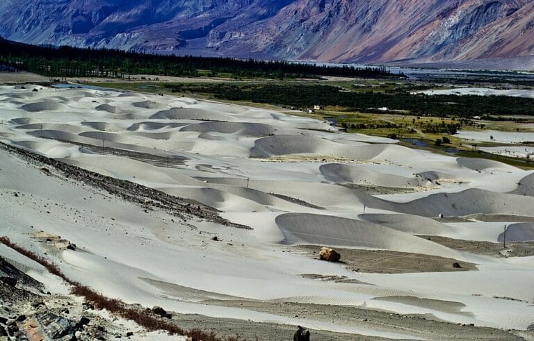 sand dunes of nubra valley