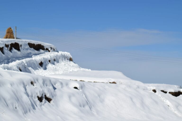 Snow-covered landscape in Kufri Shimla
