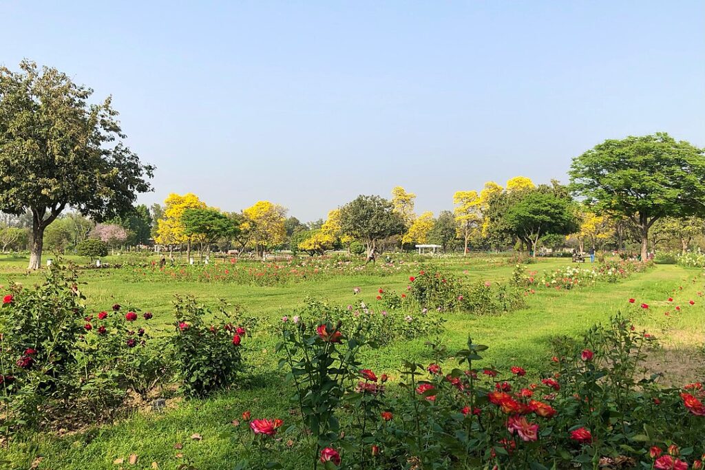 1080px rose garden chandigarh